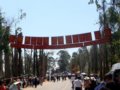 云南昆明西山。三月三