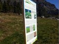 意大利公园采用RFID为游客导览