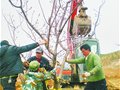 千株果树移入果艺园 市民今秋爬浮山可摘桃杏