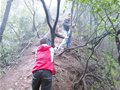11人登青城山走“捷径”被困 数小时后全部获救