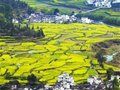 让你的旅行慢下来　自行车骑行婺源攻略