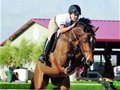 90后“海龟”女骑手：我特别想把中国马术带起来