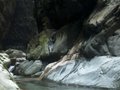 今夏去四川躲避炎热 三大避暑胜地全攻略