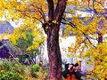 探访江西十大旅游人间秘境(图)