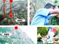 2名大学生登山1人跌落50米深悬崖命危(组图)