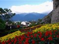 面朝洱海 春暖花开——我的大理游记