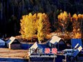 走遍新疆最美的喀纳斯抠门攻略