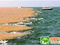 自驾东营 黄河与大海相约的地方(图)