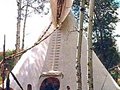tipi�ǵ�ǰ������--��̸ӡ�ڰ� ����������