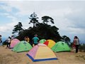 “帐篷游”渐成风尚 景区“篷客”怎么玩？