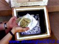 利用阳光加热食物-DIY太阳能灶