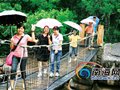 中秋海南森林旅游“一床难求” 酒店预订率达9成(图)