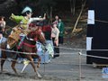 日本新宿举办传统骑马射箭表演“流镝马”