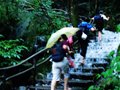 当了回惊驴----羊狮幕--发云界--金顶惊险之旅记