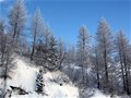 法国霞慕尼 冬季登山滑雪攻略