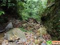 穿越九连山腹地之滴水岩1362+七星墩1200