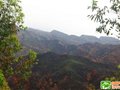 穿越大北山之笨箕石1100+北山嶂1030+李望嶂1240