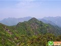 穿越七目嶂三剑客之燕子岩1167+担羌坳顶1106+石马顶1170下