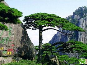 黄山2日自助游详记 驴友真实分享攻略及体会
