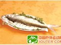 吃：西塘美食攻略(组图)