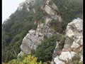 深圳排牙山游记作业