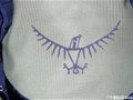 ���OSPREY��Сӥ����ͼƬ�Աȷ���[��ͼ]
