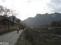 问道王道岭，驻马华山侧，密林探新路