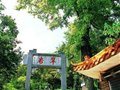 广东西樵山游玩攻略 去天然的氧吧呼吸