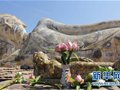 泰国启动“美丽泰国”活动恢复中部旅游(图)