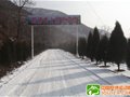 ����ѩ���ͨ��Ͽ�ȡ����˷�