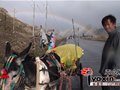 “香港阿凡提”驾驴车75天游南疆 临别抱驴嚎啕大哭