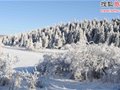 ʥ�������Լ��� �������������ѩ��·