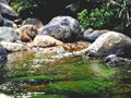 初探大鹏半岛国家地质公园(组图)