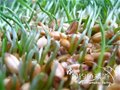 �������ر��ҵ����Ƽ�Ʒ�����