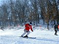 吉林承办4项国际大赛 自由式滑雪世界杯2月开幕