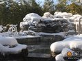 �������� ��ת��ƽ(��ͼ��