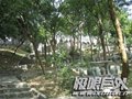 自助游广东名山全攻略