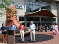 ���ԡ�׭����L.L.Bean�������Ʒ��ӡ��