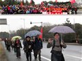 健康低碳行 无锡500网民“徒步马拉松”