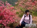 ���˸�Ů���人�Ƽ�·��