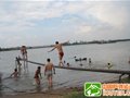野泳自救完全手册