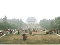 清明出游玩个痛快 最佳旅游线路推荐
