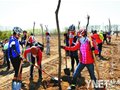 京城300骑友共植青年林(图)