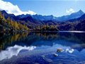 ��һ������ȥ�� �Ĵ��Լ���·��¯