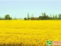 露营篝火烧烤 荆州“户外狂欢帐篷节”火热报名中