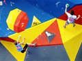 �������磺�ɹ�����2012�������ұ���