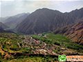 �ӱ��żҿ�����Ͽ��ͽ�����й���