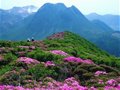 ��һ�̼ٲ�լ�� ����լ�����мƻ�