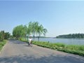 ͨ�ݴ���60�����˺��̵����ν�