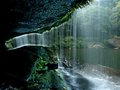 四川古蔺黄荆老林迎来生态休闲旅游季